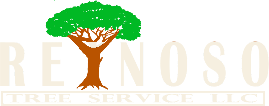 Reynoso Tree Service LLC