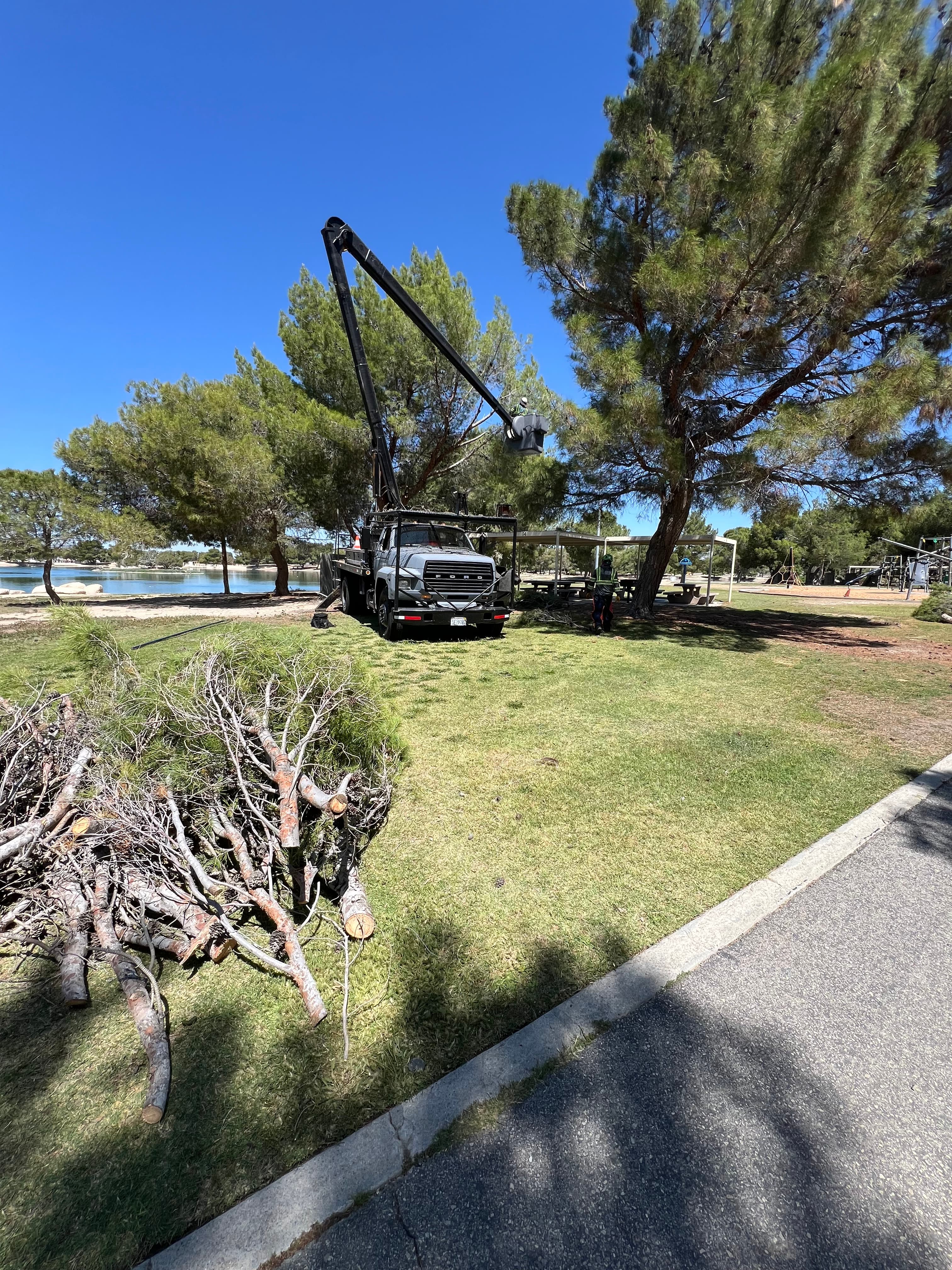 Reynoso crew performing a crane-assisted tree removal