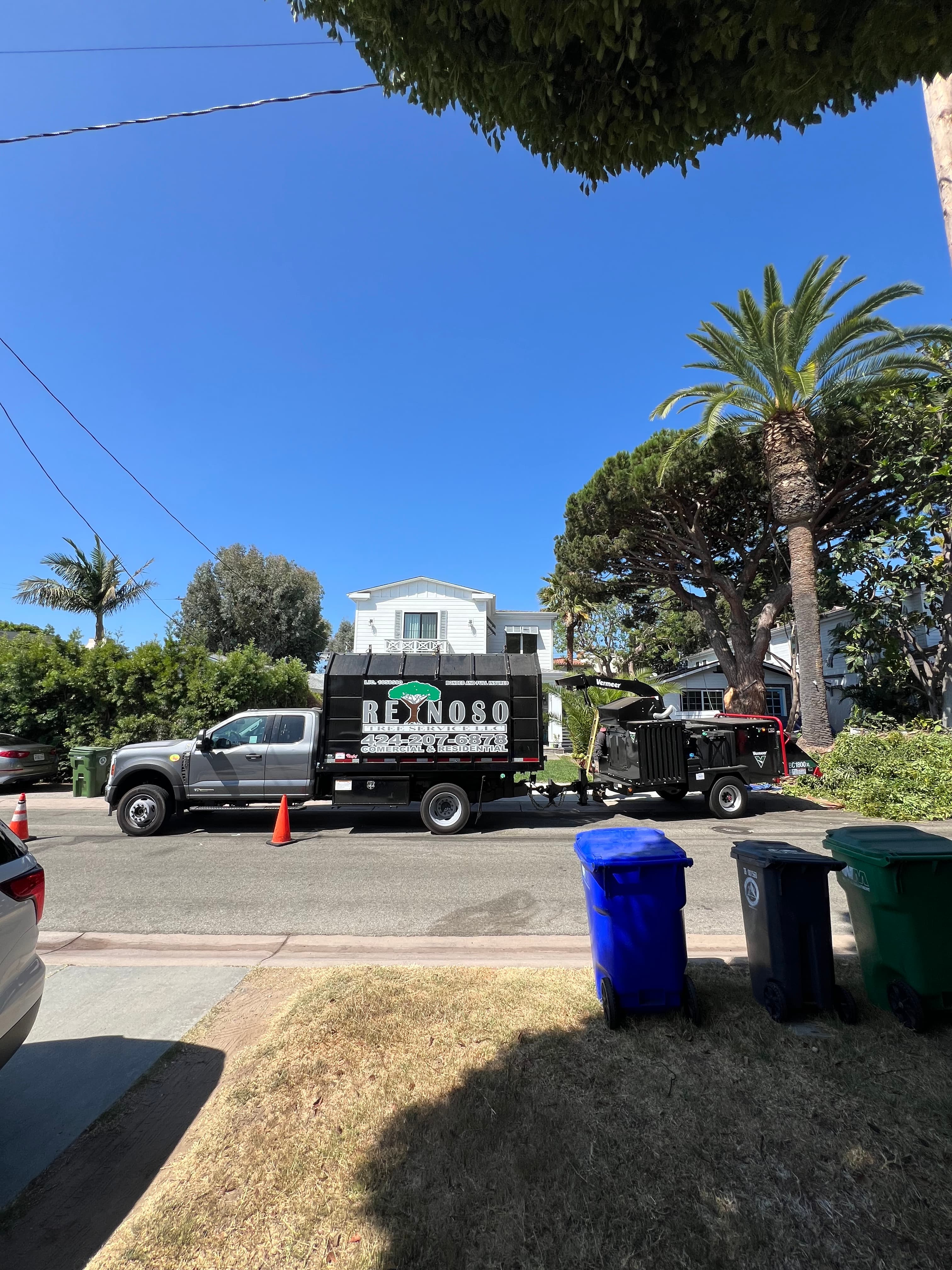 Reynoso Tree Service truck on a Los Angeles street